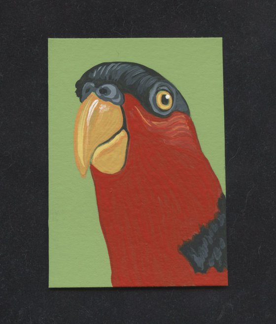 ACEO ATC Original Miniature Painting Indonesian Parrot Pet Bird Art-Carla Smale