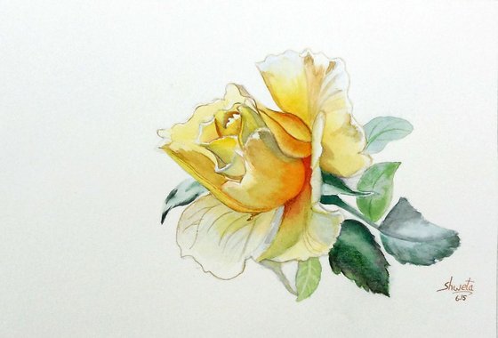 Yellow Rose