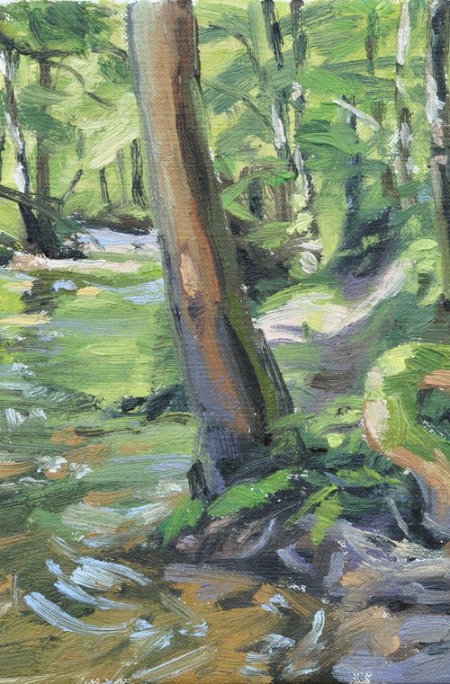 River in the heart of the forest by ANNE BAUDEQUIN