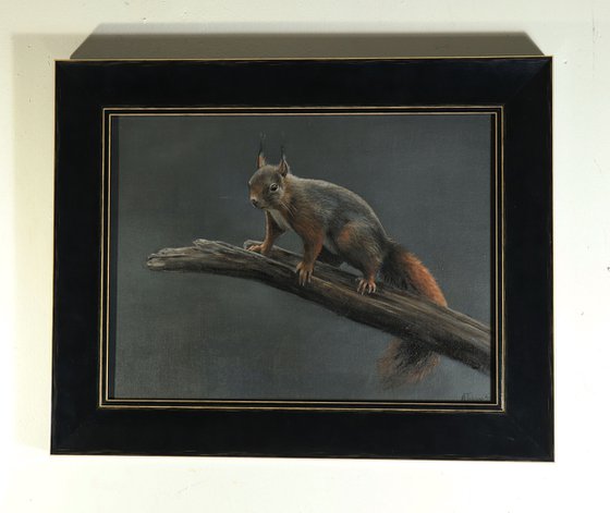 Red Squirrel Painting, Wildlife Artwork