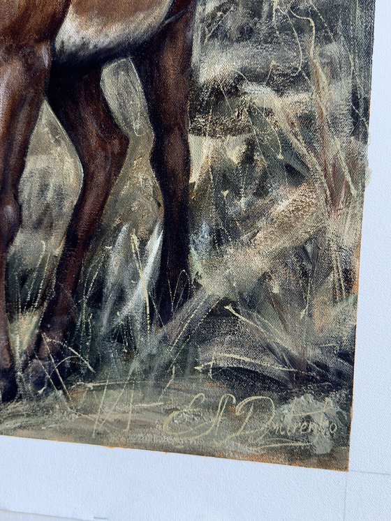 Deer