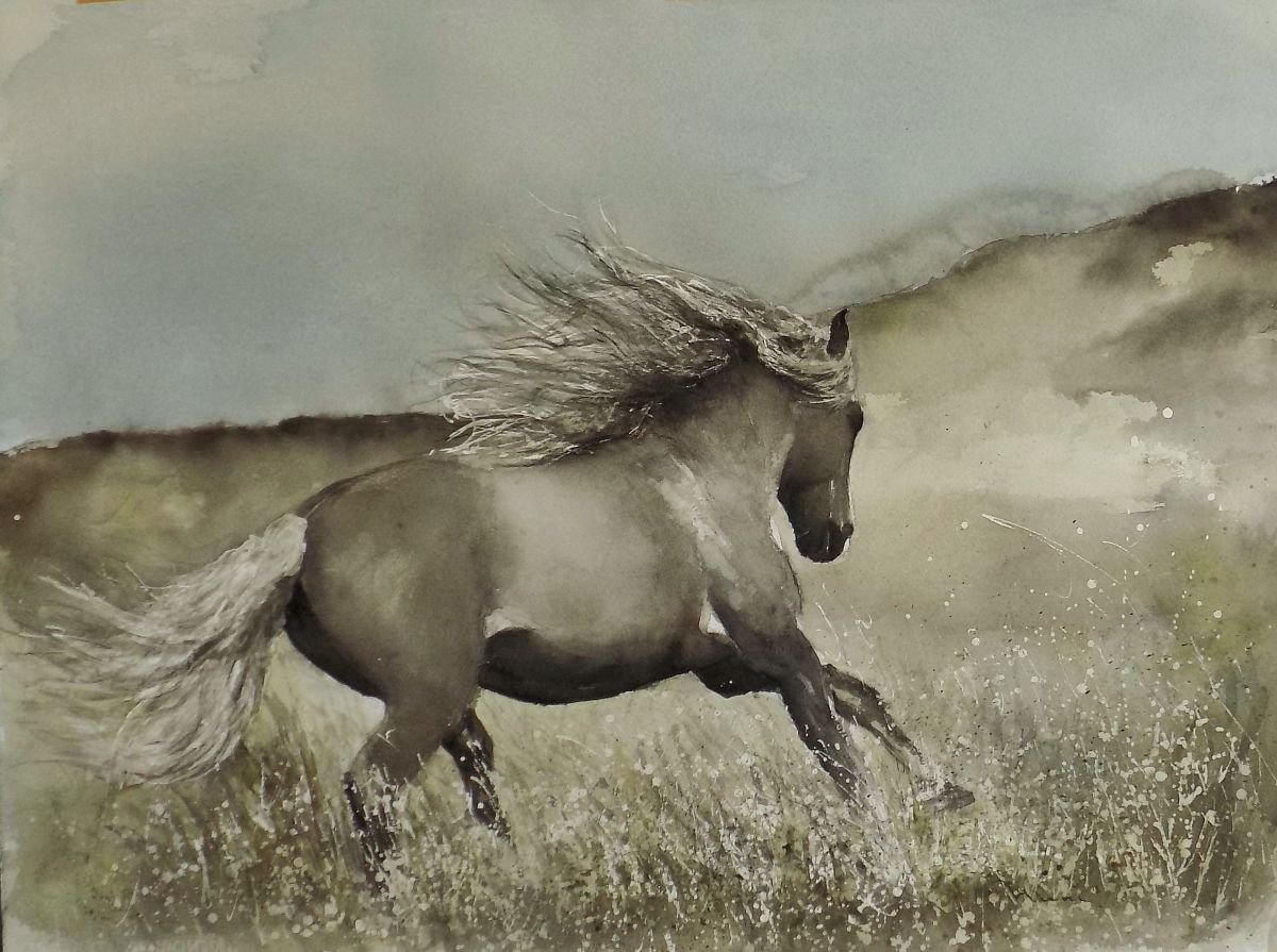 Wild dream by Ninni watercolors