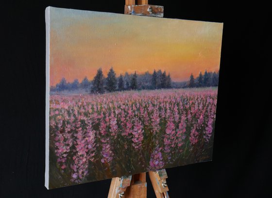 Sunset over the purple flowers - summer painting