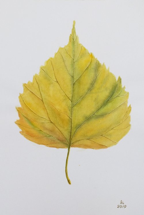 Autumn leaf by Ilona Borodulina
