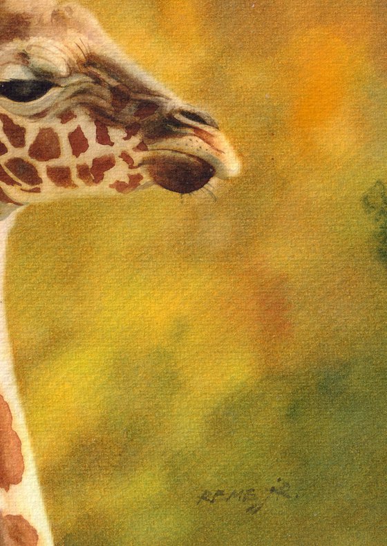 Giraffes - mother and baby giraffe VII