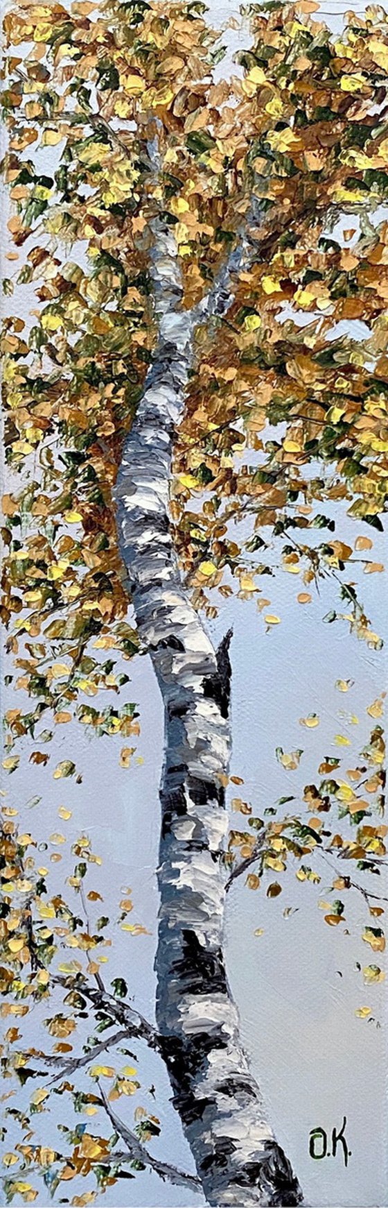 Birch in the blue sky