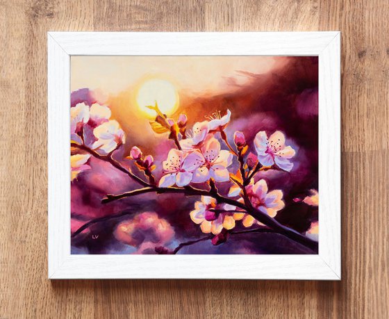 Pink cherry blossoms at sunset