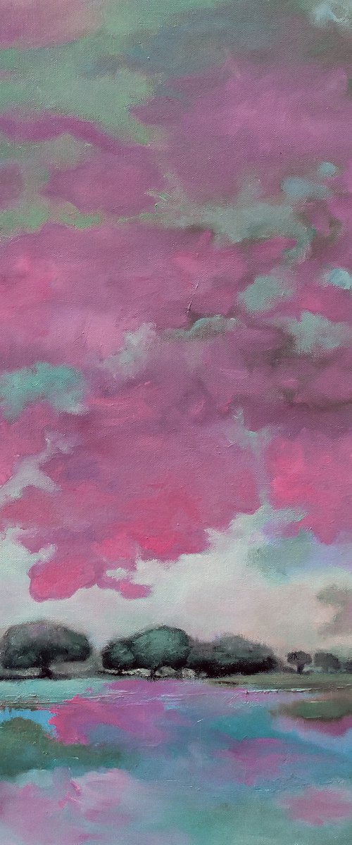 Clouds swimming. by Veta  Barker