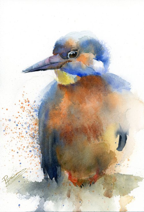 Colorful bird portrait by Olga Shefranov (Tchefranov)