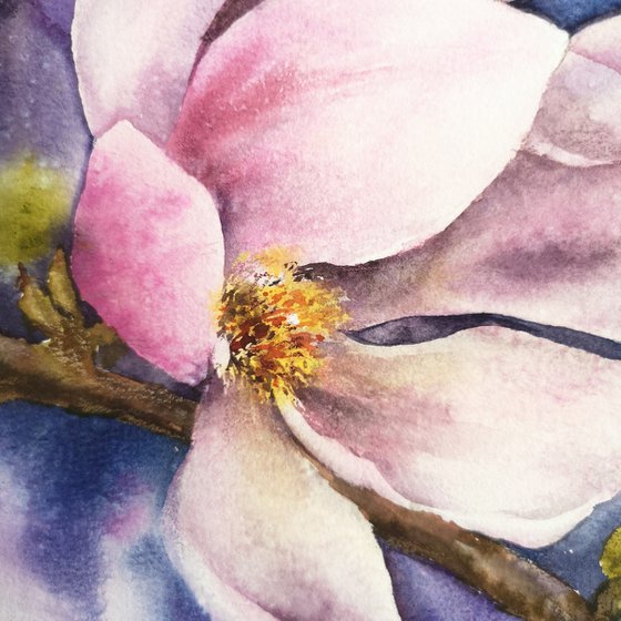Magnolia watercolor painting