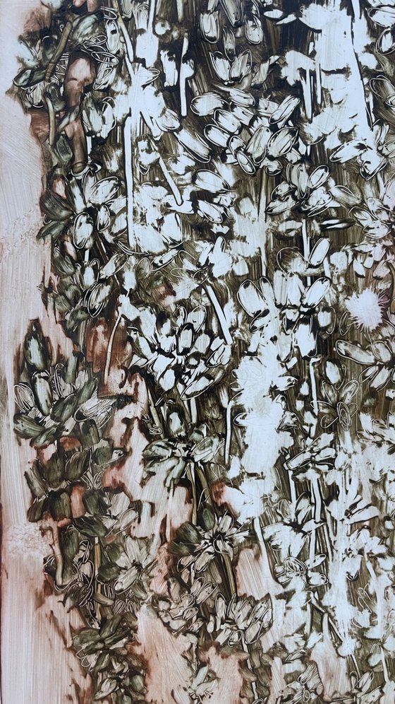 DROSANTHEMUM FLORIBUNDUM II