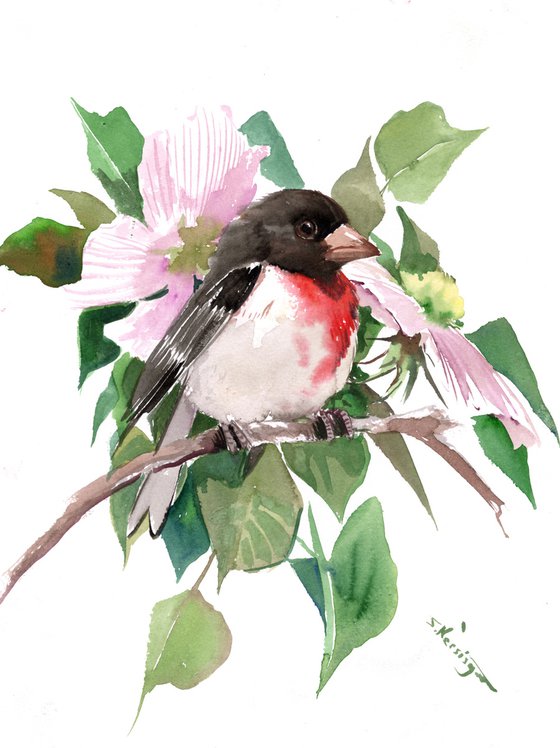 rose-breasted grosbeak