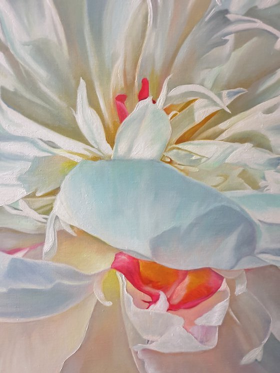 "Delicate petals. "   peonies flower 2021