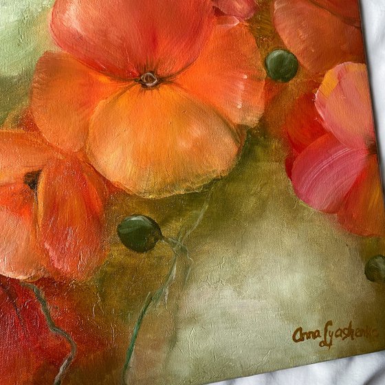 Poppies on Olive