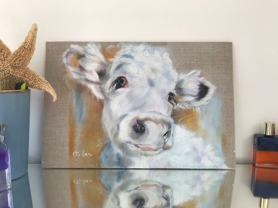 Luna - White cow original oil painting