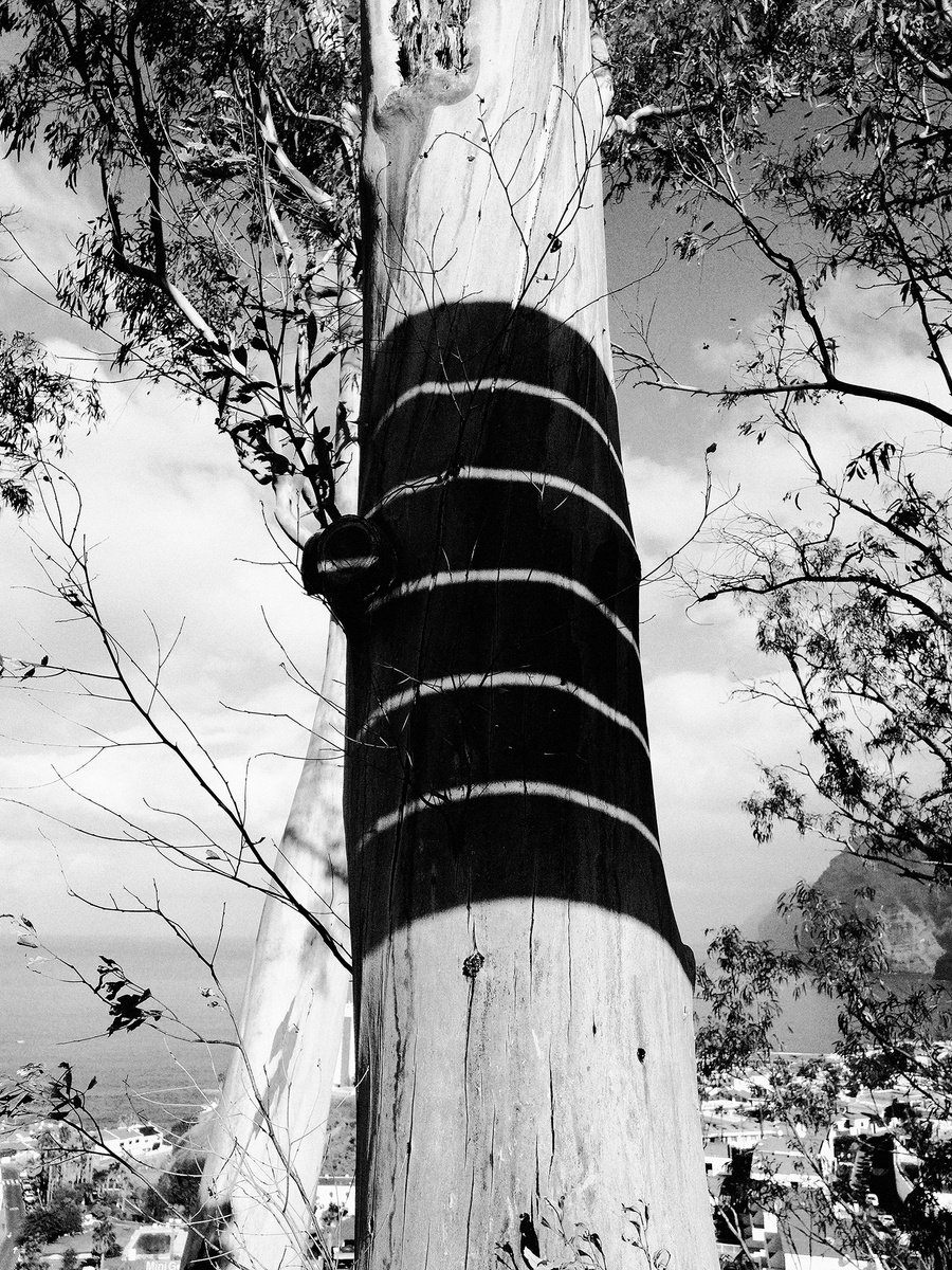 City Range #45 by Petr Strnad
