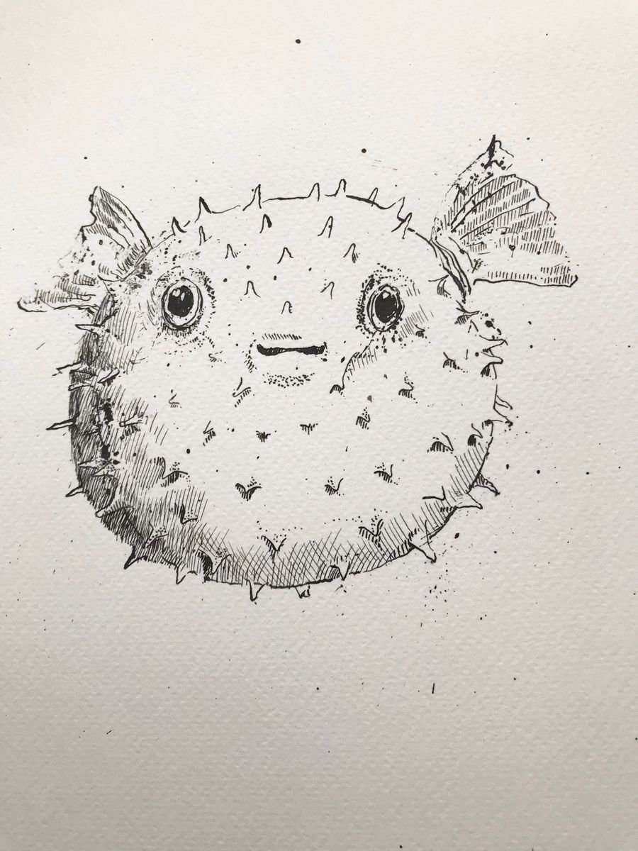cute puffer fish drawing