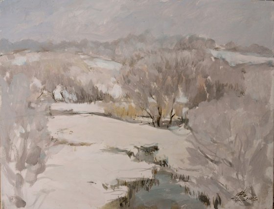 World under hoarfrost 29X22cm FREE SHIPPING,Original acrylic painting