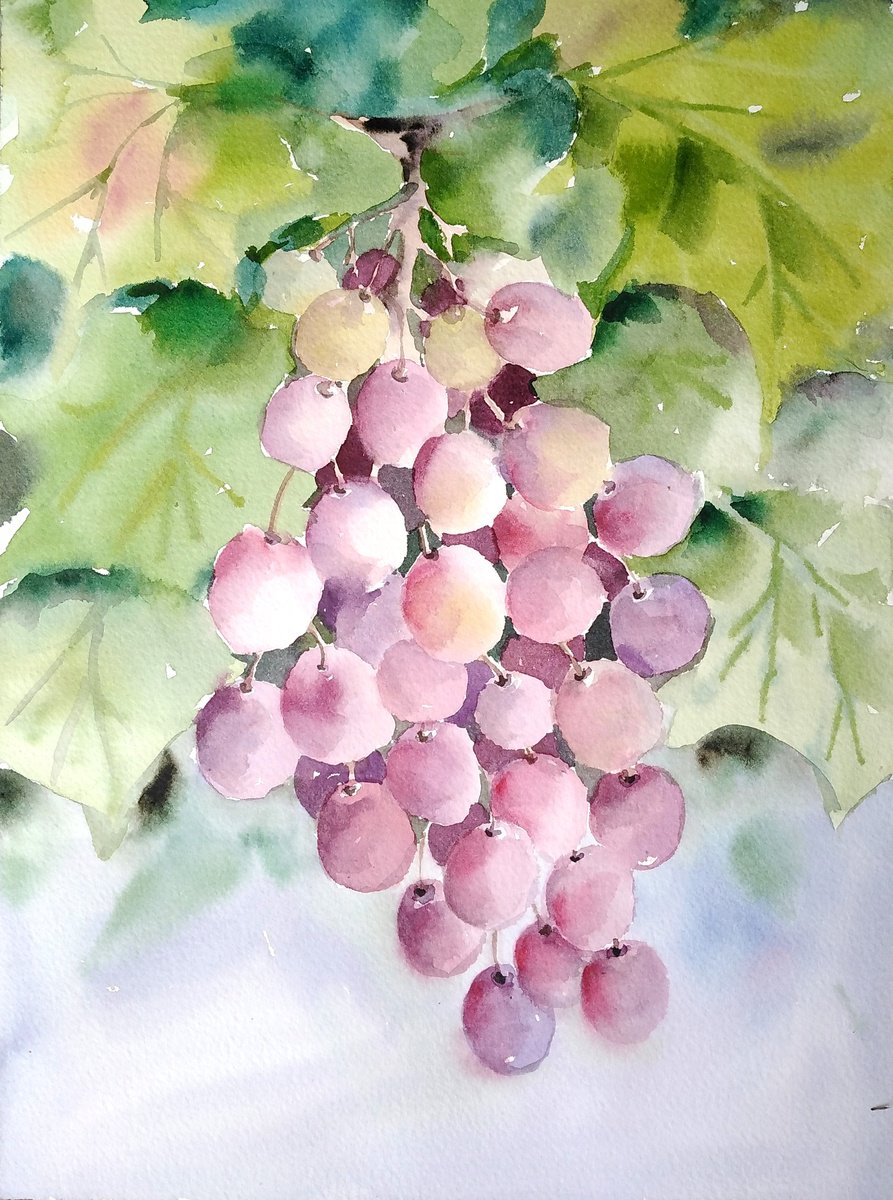 Grapes, watercolor illustration by Tanya Amos