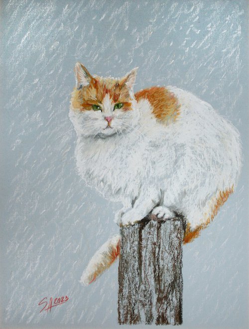 Cat II / FROM THE ANIMAL PORTRAITS SERIES / ORIGINAL OIL PASTEL PAINTING by Salana Art Gallery