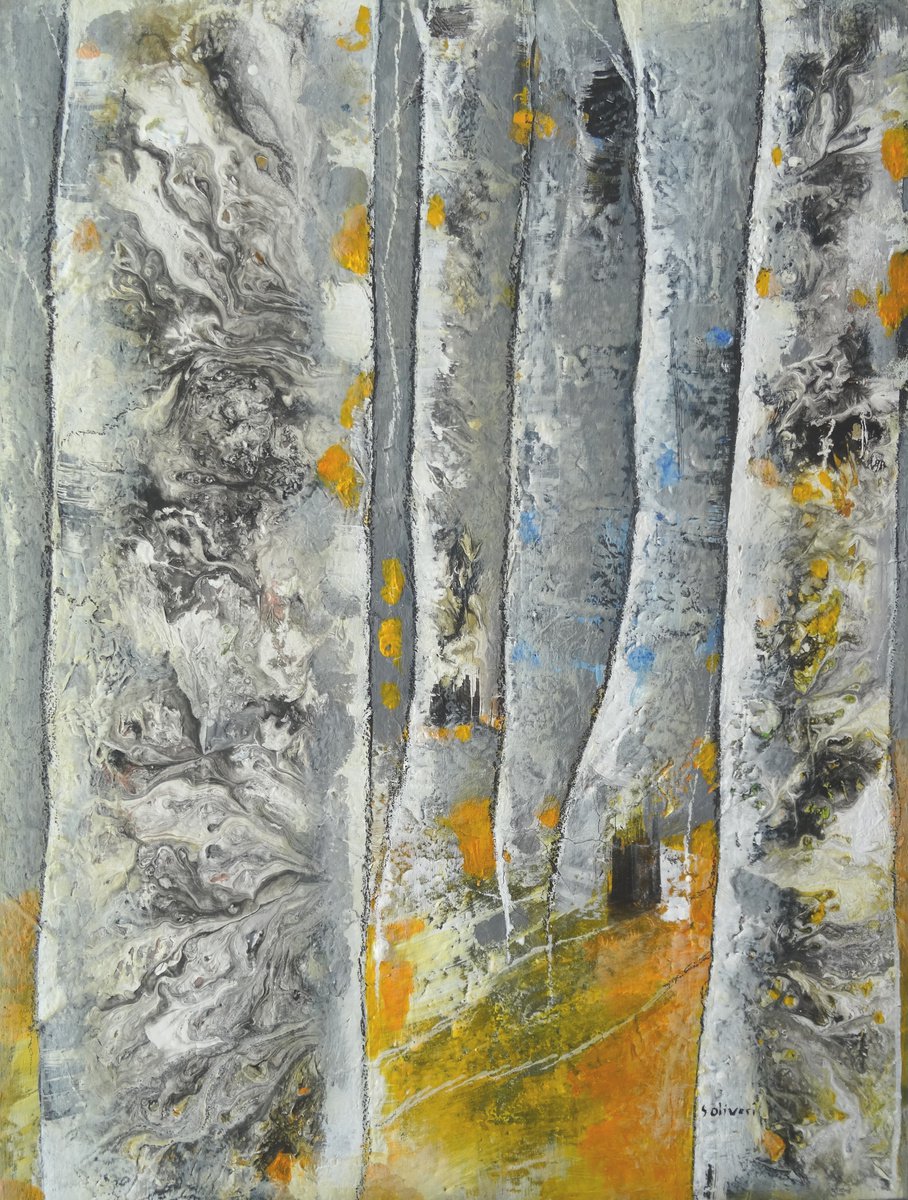 Trees by Sylvie Oliveri