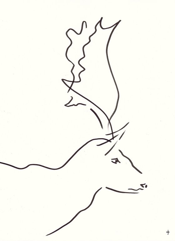 Deer