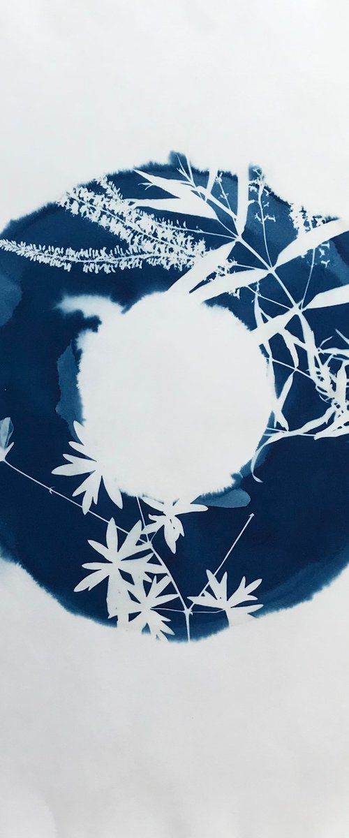 Cyanotype with Garden Flowers 26 by Jayne Simmonds