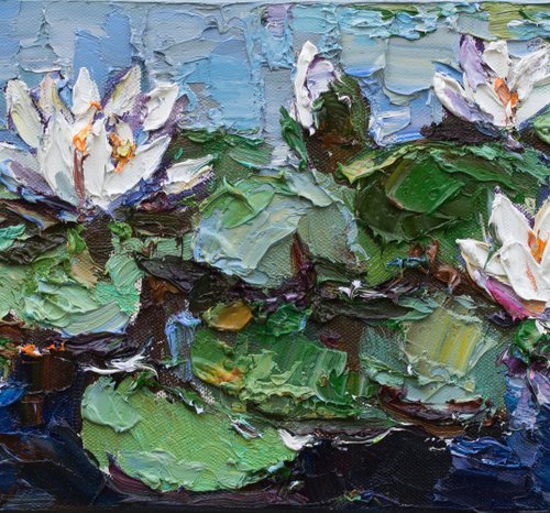 White water lilies Original Oil painting by Anastasiia Valiulina