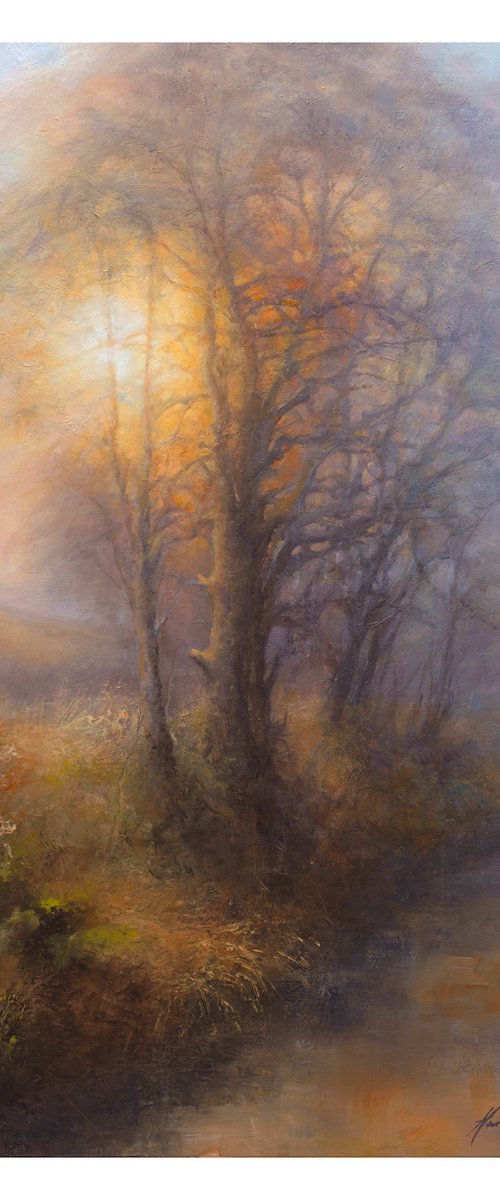 A Winters Sun Setting Through Bare Branches by Hannah Kerwin