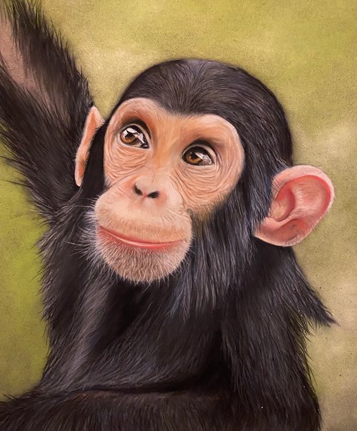 Chimpanzee by Maxine Taylor