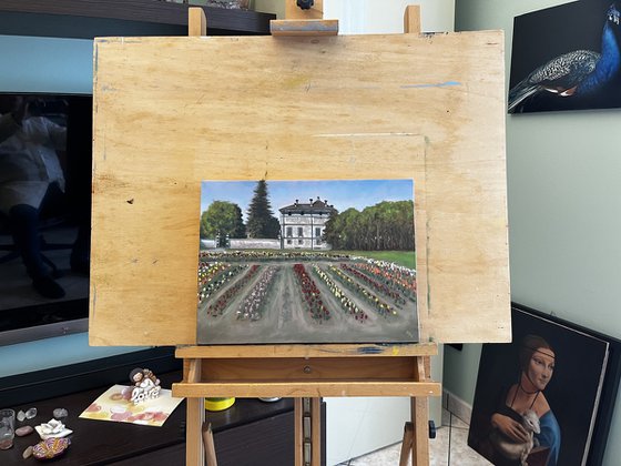 Springtime in Groppello d’Adda - Red Tulips