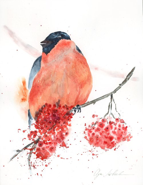 Winter Bullfinch by Olga Koelsch