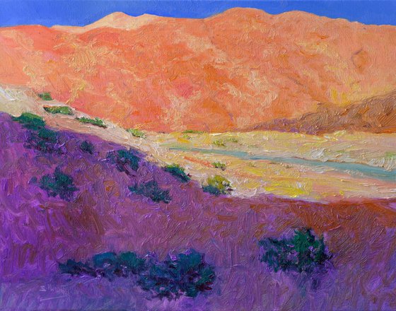 Purple Shadow in the Desert