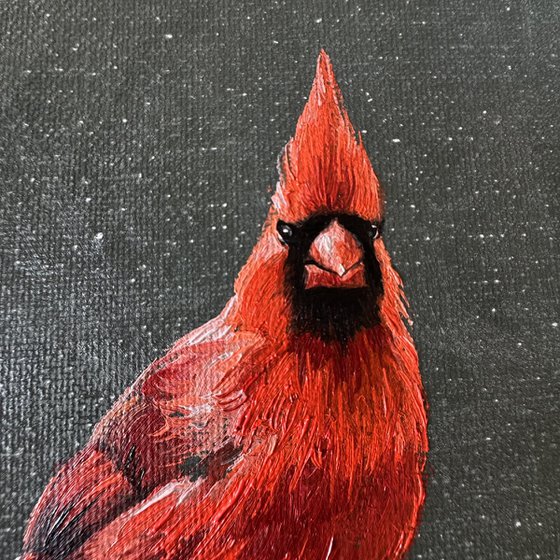 Cardinal reminder