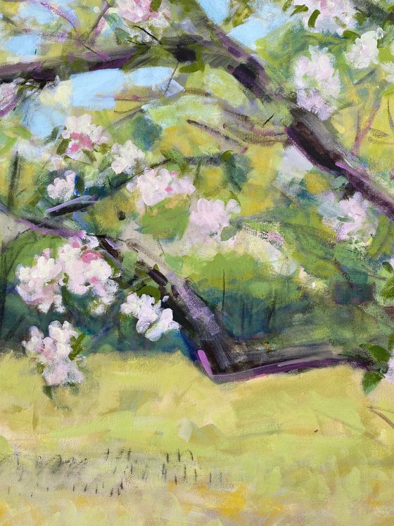 Blossom