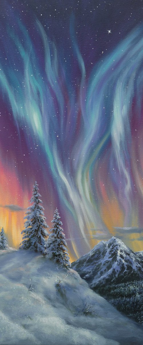 northern lights by Jevgenijus Litvinas