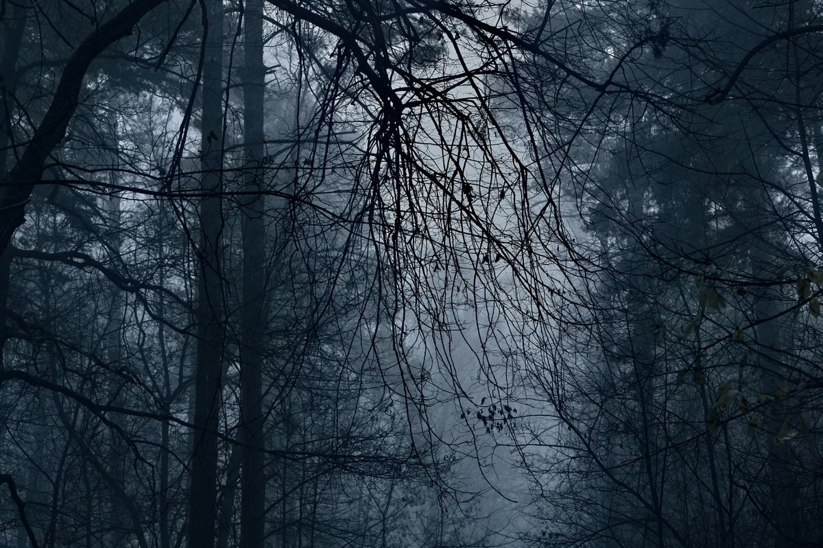 Fog #2 by Oleg Chumakov