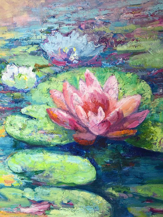 Water lilies.