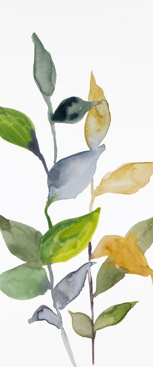 The Woods No. 70 by Elizabeth Becker