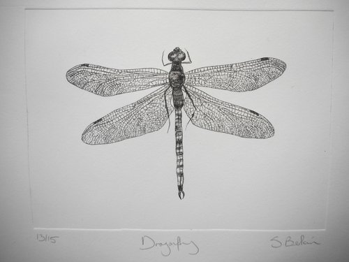 Dragonfly by Saskia Berkin