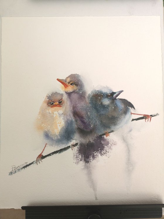 Three wrens (birds)