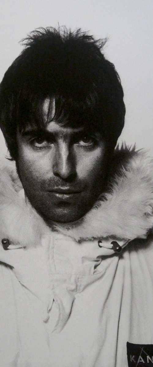 Liam Gallagher-Platinum by David Studwell