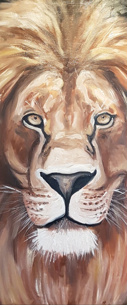 Lion by Els Driesen