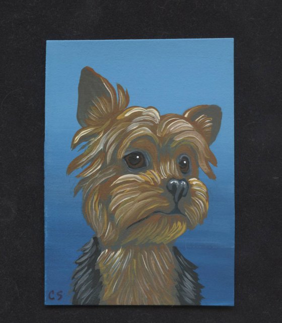 ACEO ATC Original Miniature Painting Yorkshire Terrier Pet Dog Art-Carla Smale