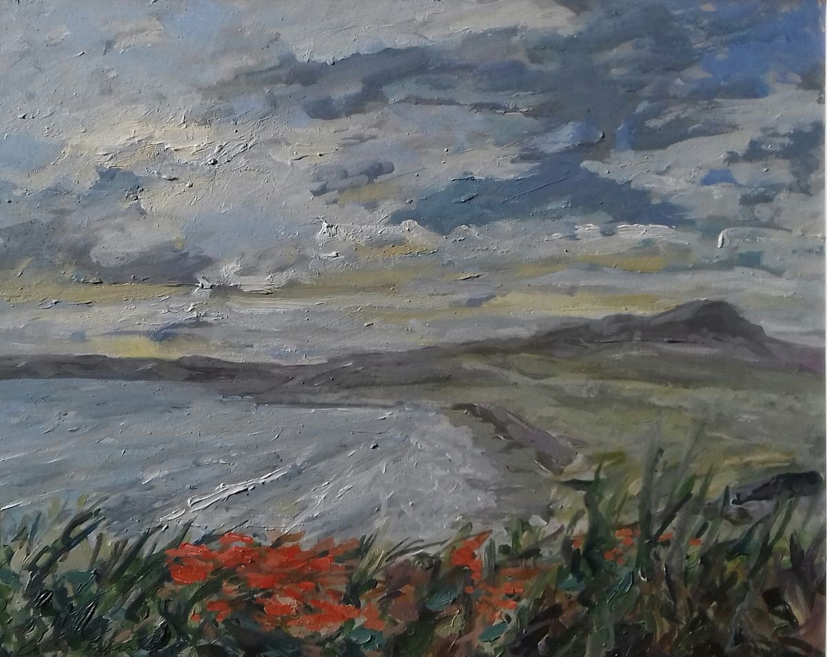 Whitesands Bay, St Davids by Ann Kilroy