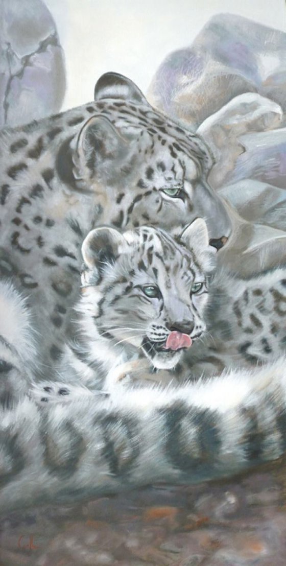 Snow Leopard Love