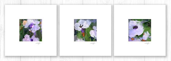 Abstract Floral Collection 7 - 3 Flower Paintings in mats by Kathy Morton Stanion