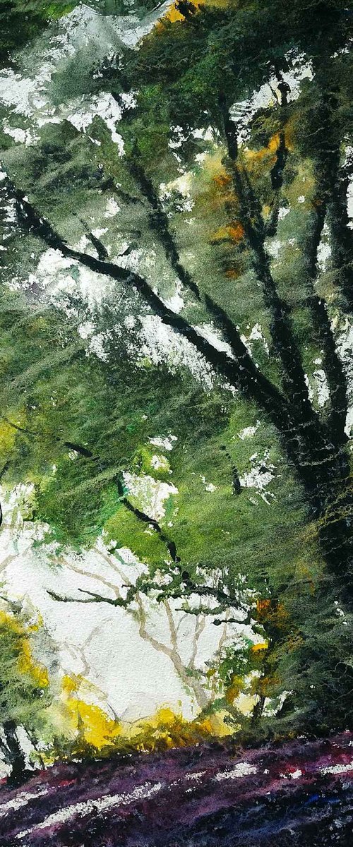 In Old Woods by Neil Wrynne
