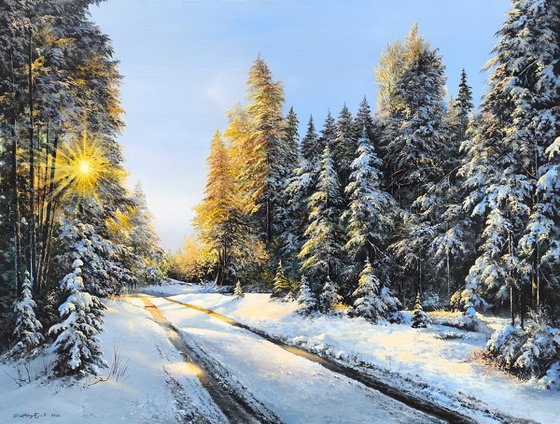 Snowy Pine Wood Road