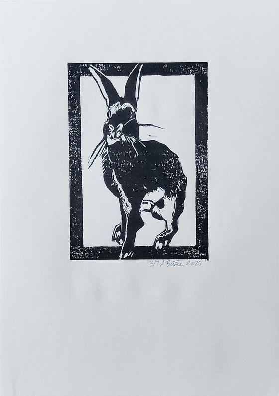 Rabbit 3/7